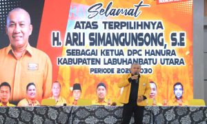 arli simangunsong