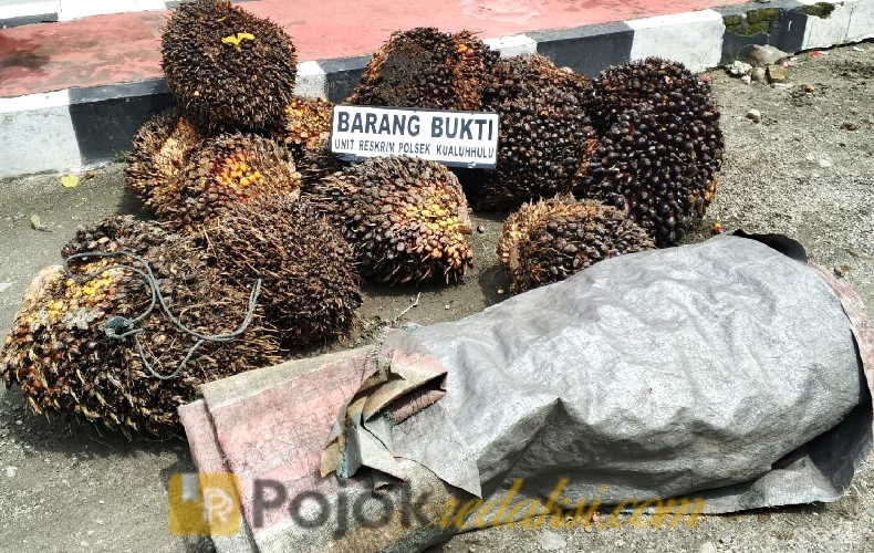 barang bukti sawit