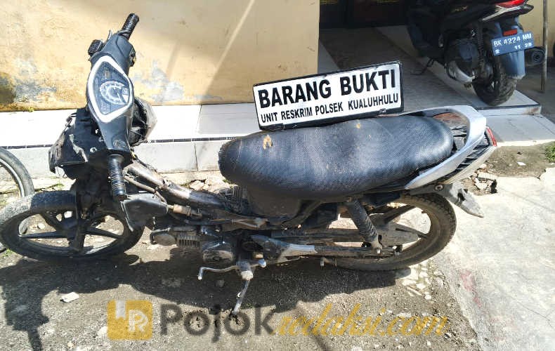 bajing loncat sawit