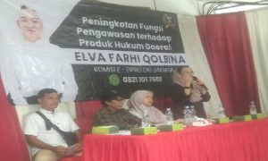 elva farhi qolbina