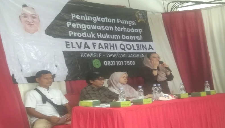 elva farhi qolbina